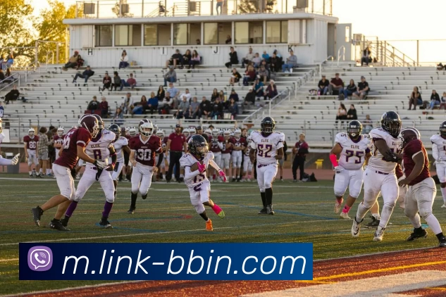 BBIN娱乐平台生态图